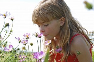 Shepperton Homes enquiry - contact us